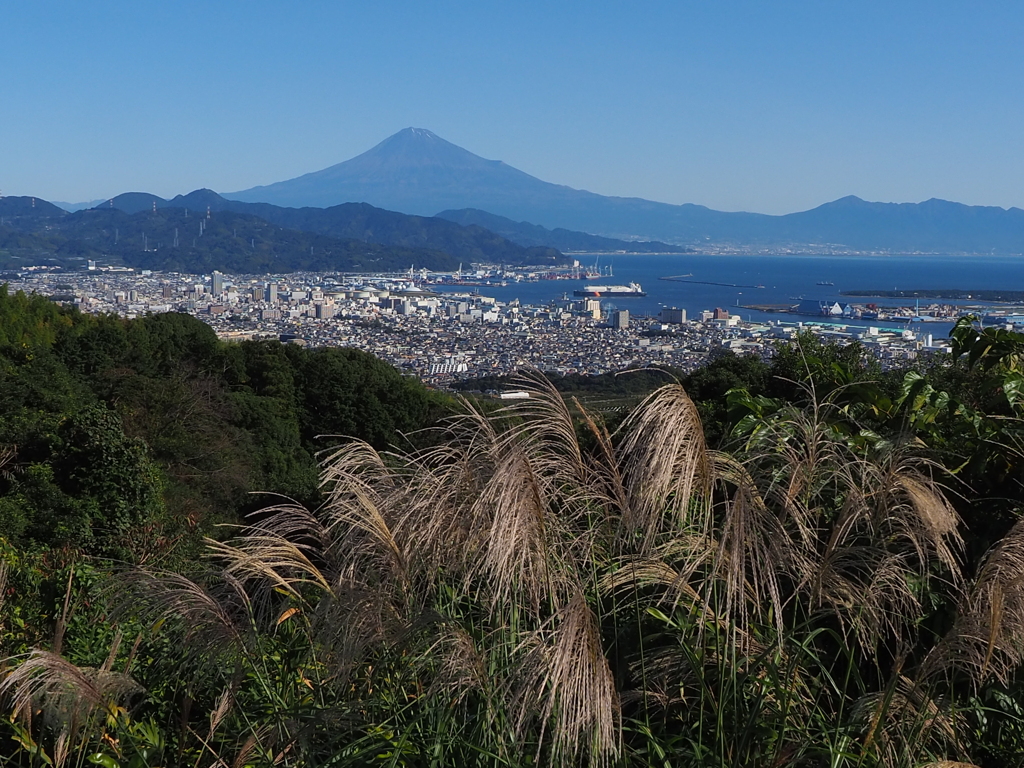 冬化粧前