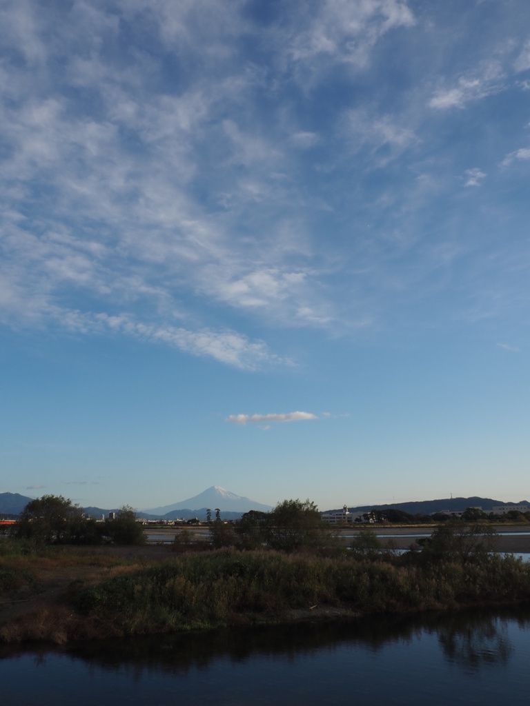 朝の河口