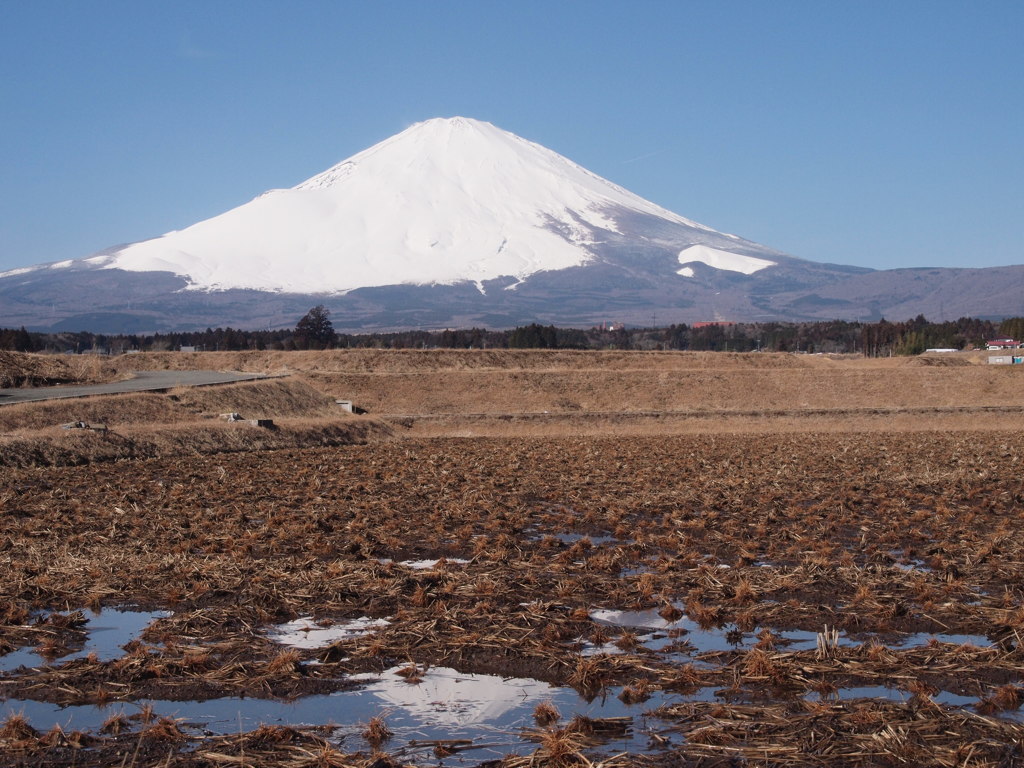 冬の田園風景