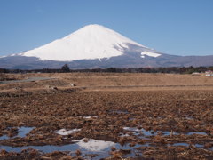 冬の田園風景