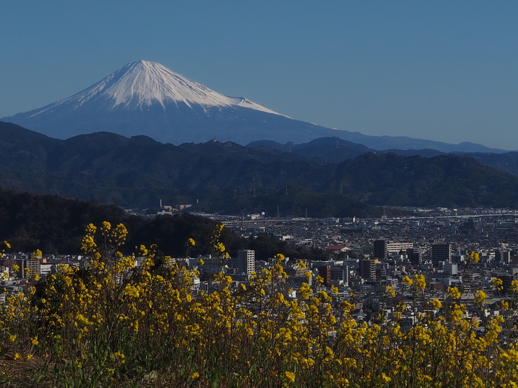 市街眺望