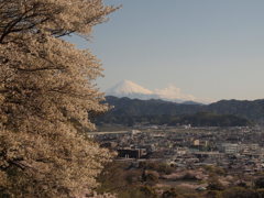 賎機山より