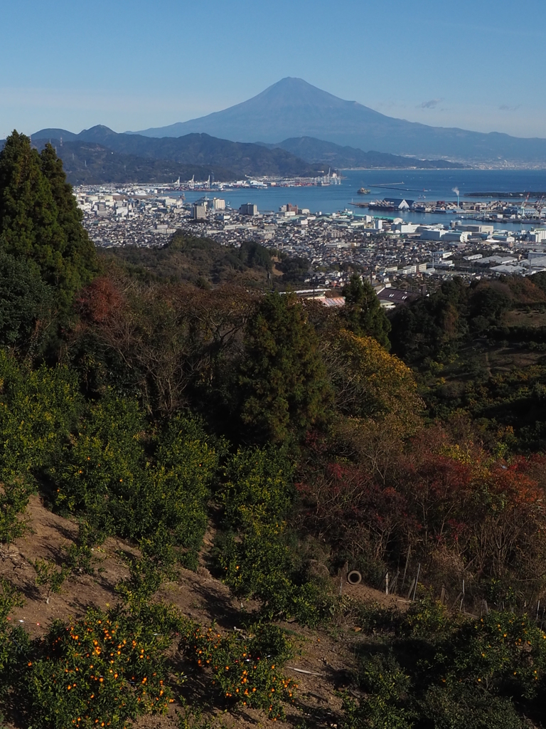 冠雪なしで年越しか？