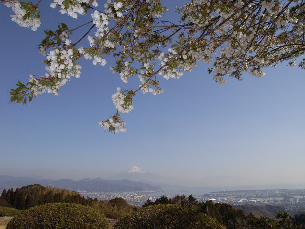 日本平より４
