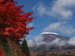 紅葉も遅れ気味