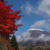 紅葉も遅れ気味