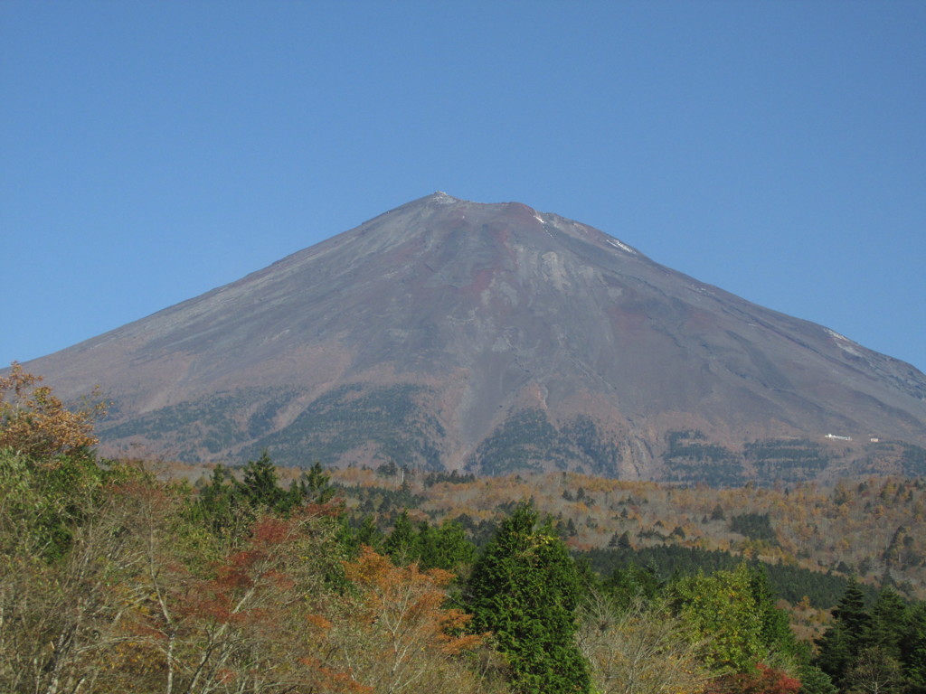 秋の山肌