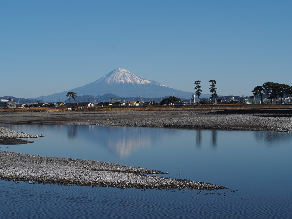 河口にて