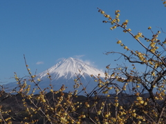 立春の頃