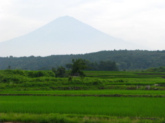 夏富士