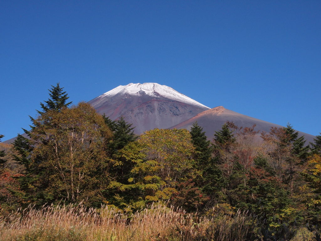 堂々と