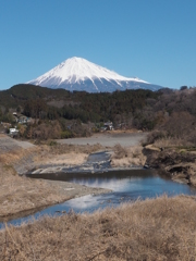 微かに映る