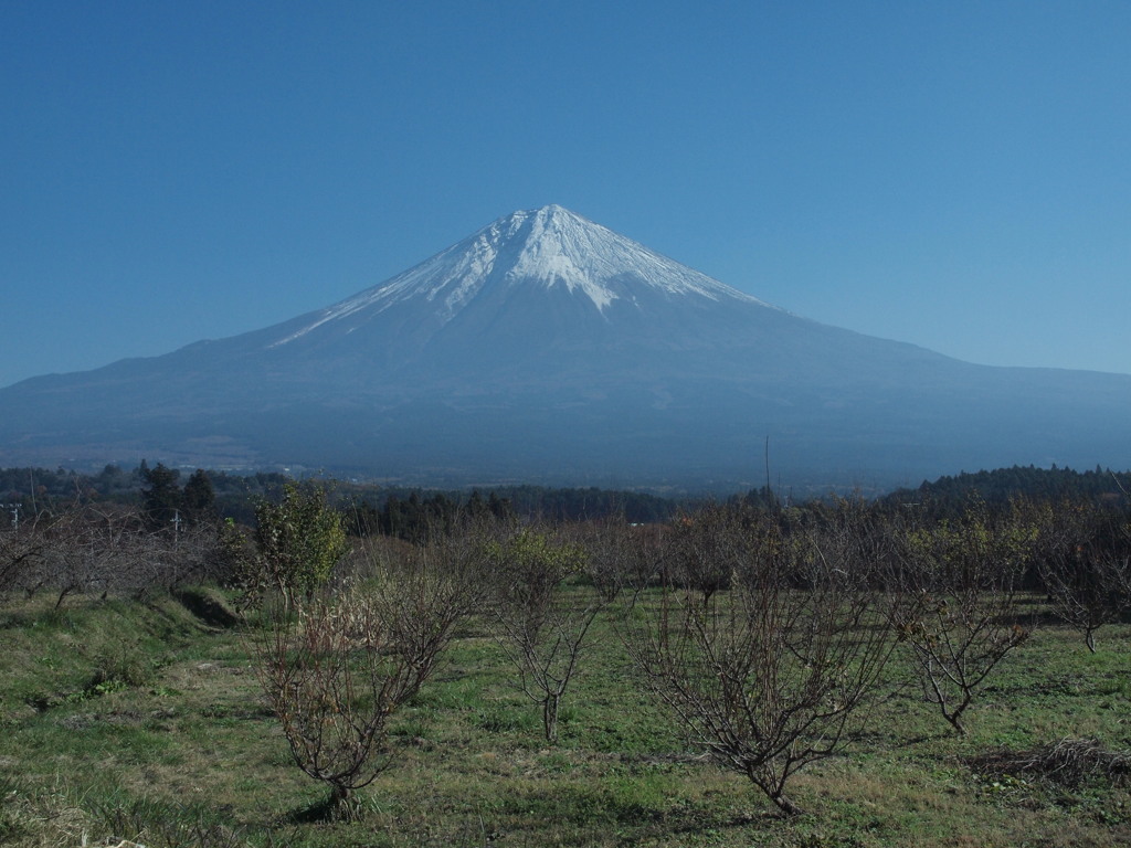 晩秋の白糸