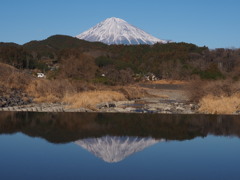 午後の静かな川面