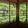 夏の緑を映して１