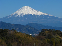 日本平運動公園より