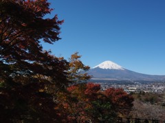 秋・終日快晴