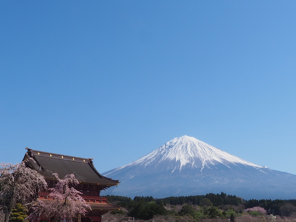 三門