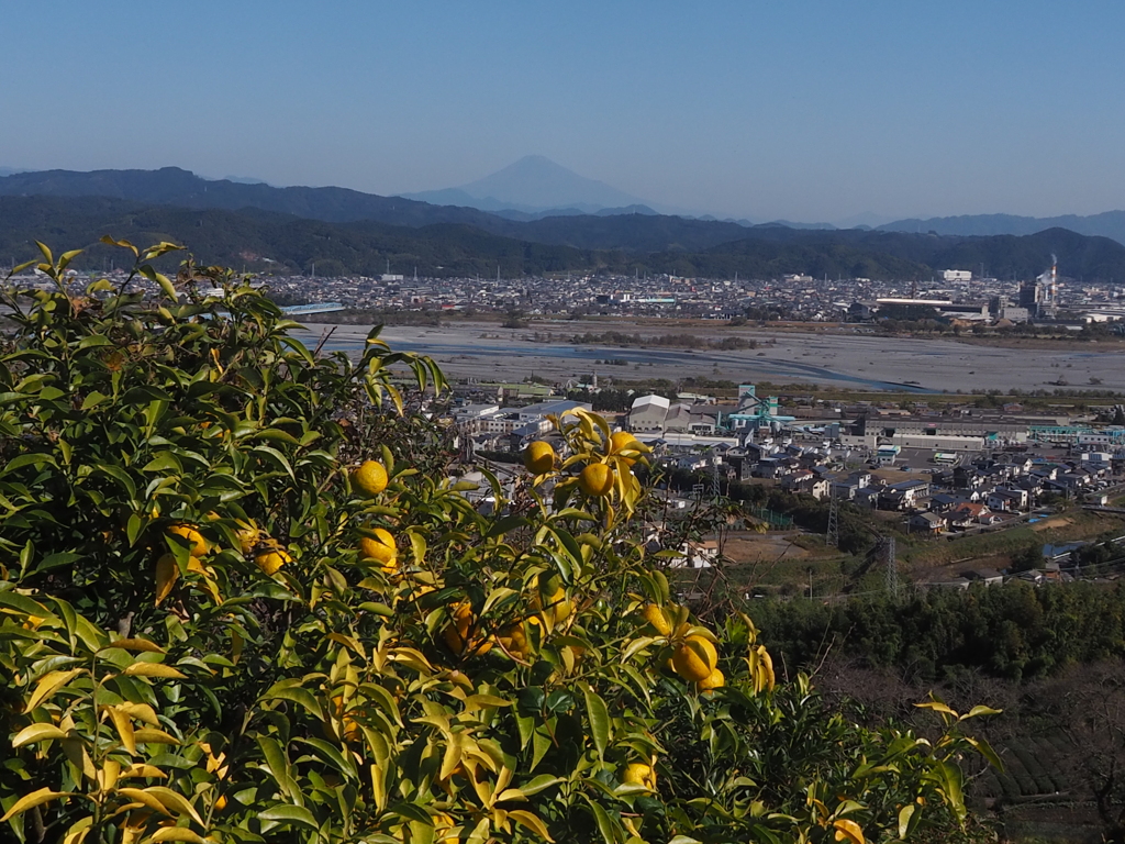 柔らかな日差し