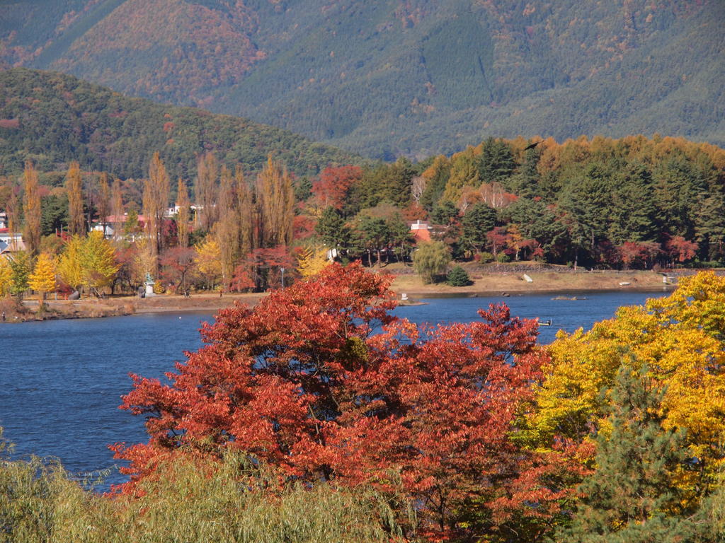 秋の湖