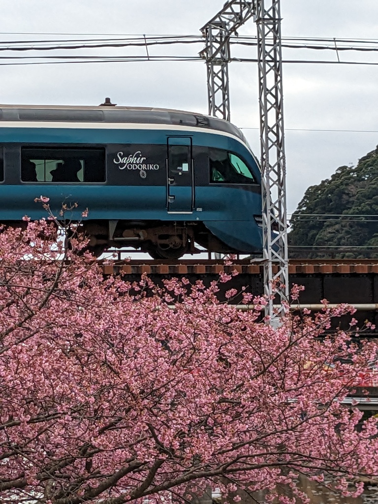 満開電車