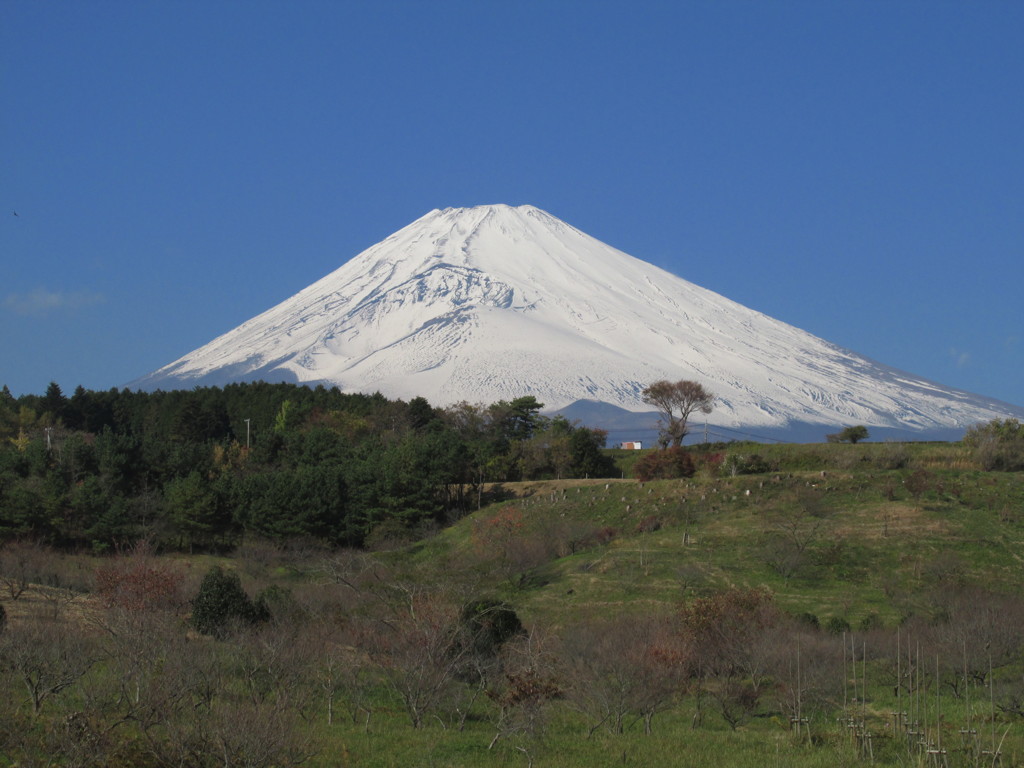 秋の須山