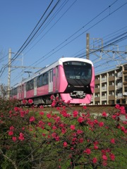 春色電車Ⅱ