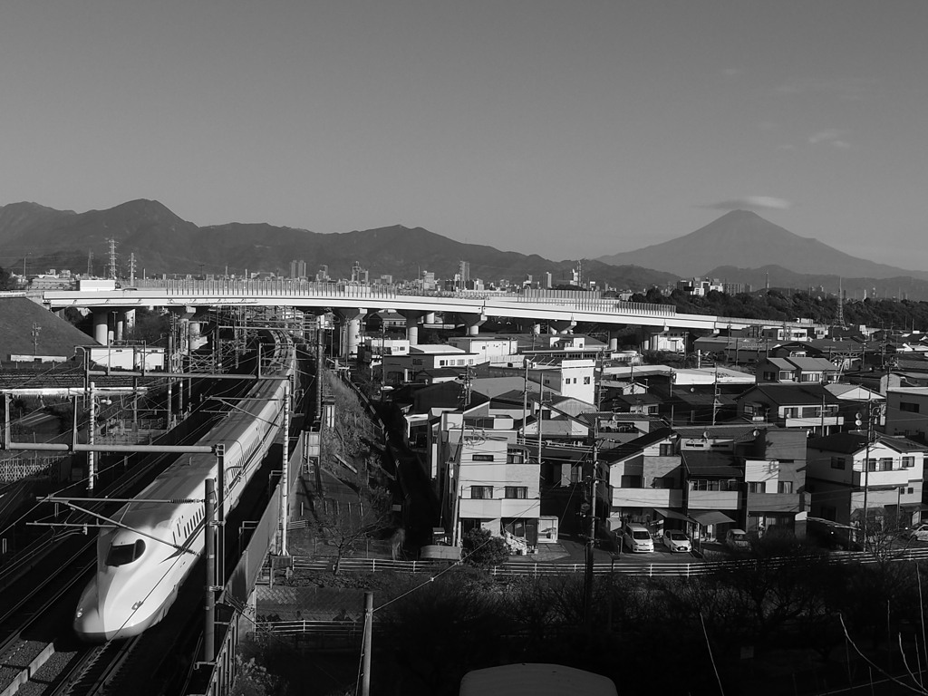 大動脈
