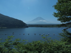 夏の精進湖