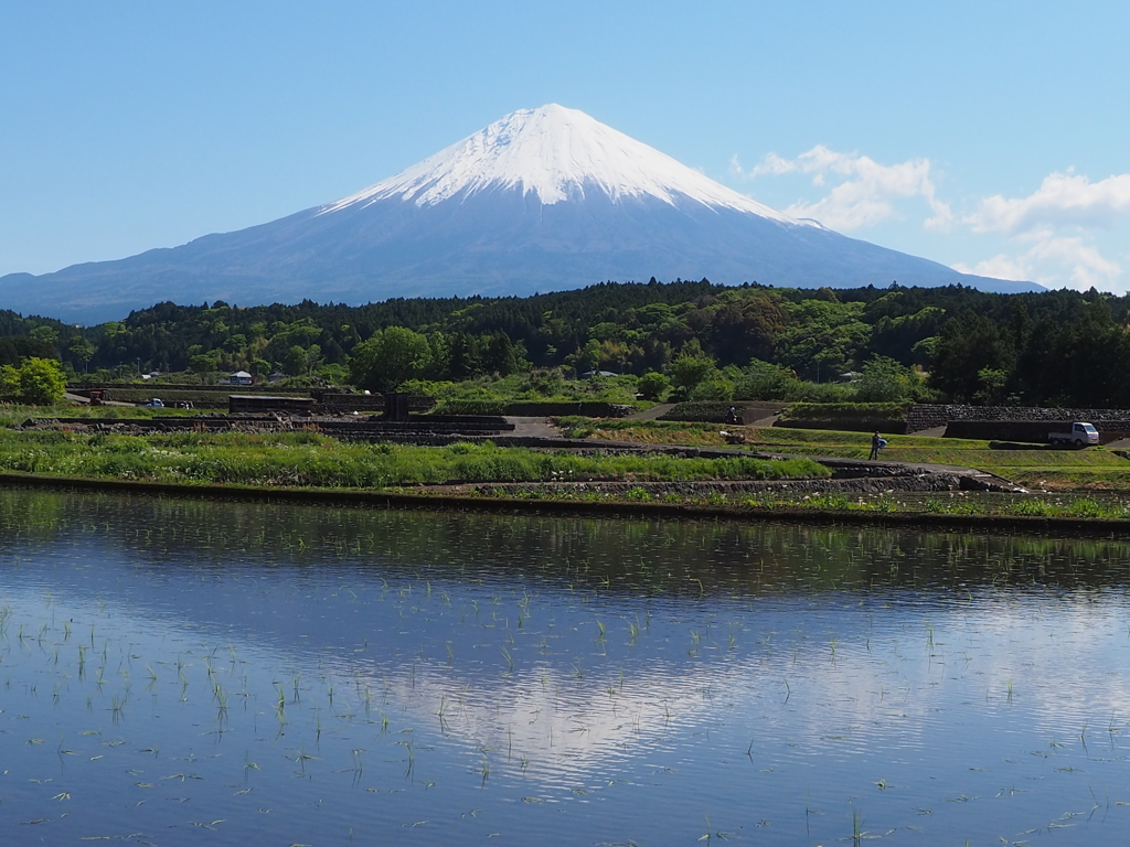 波立つ水面