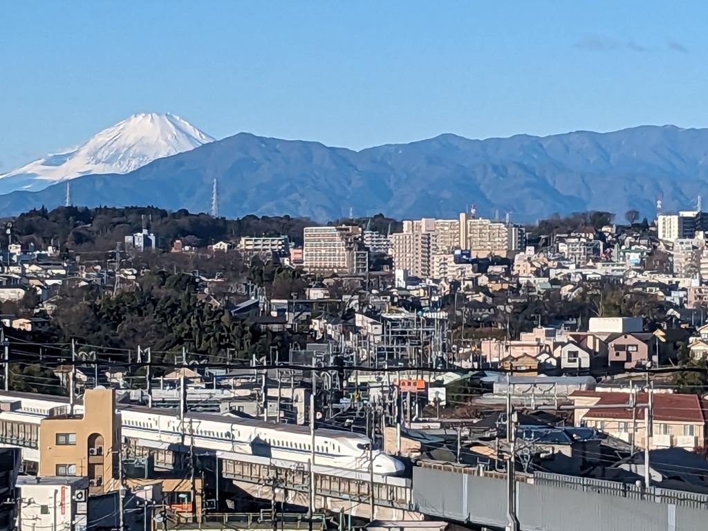 高台から