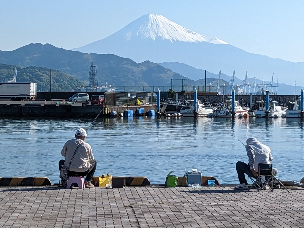 久々の晴れた朝