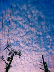 一日の始まり 一日の始まり