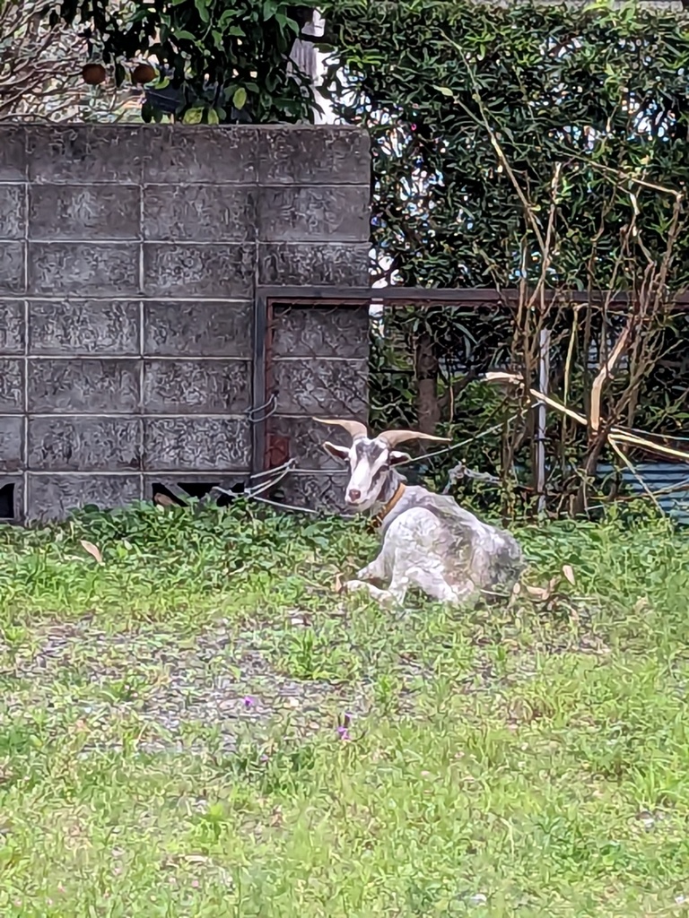 くつろぐ