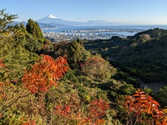 穏やかな晩秋