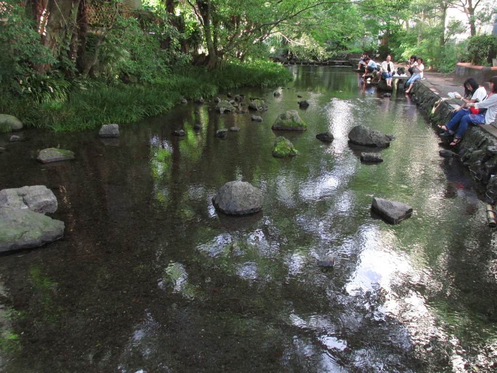 くつろぎの水辺