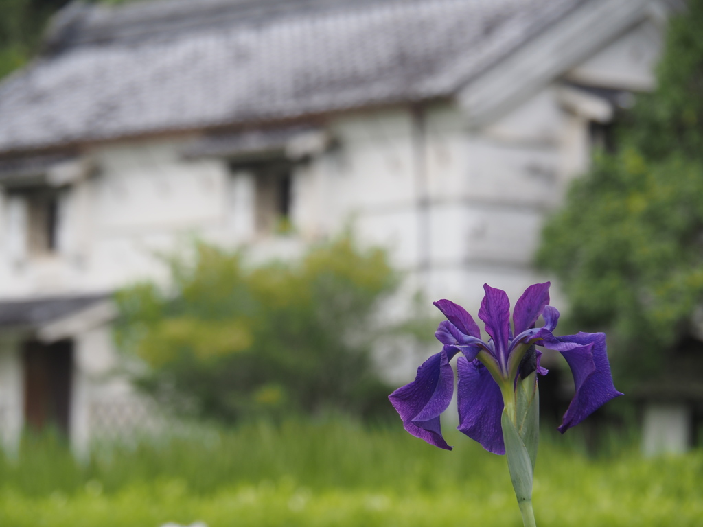 和の風情