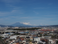 遠景では列車が何処かわからない