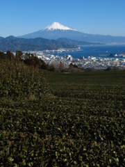 日本平より２