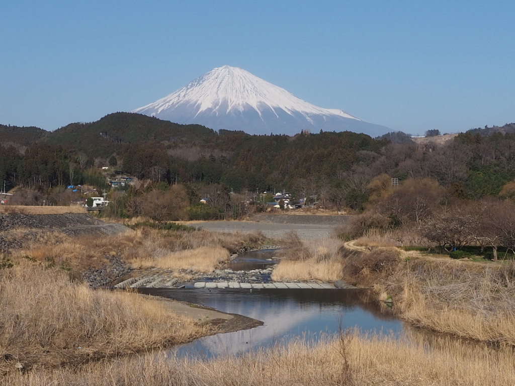 今年も微かに映る