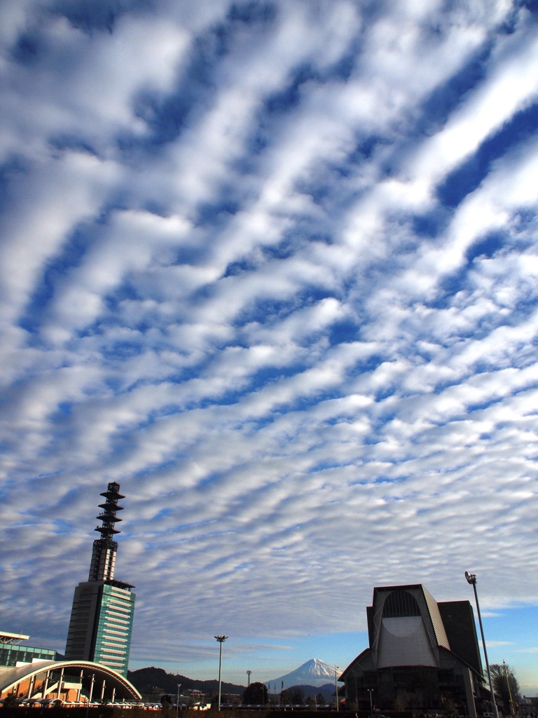 朝の雲