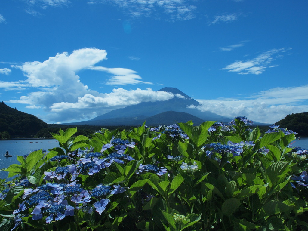 summer blue