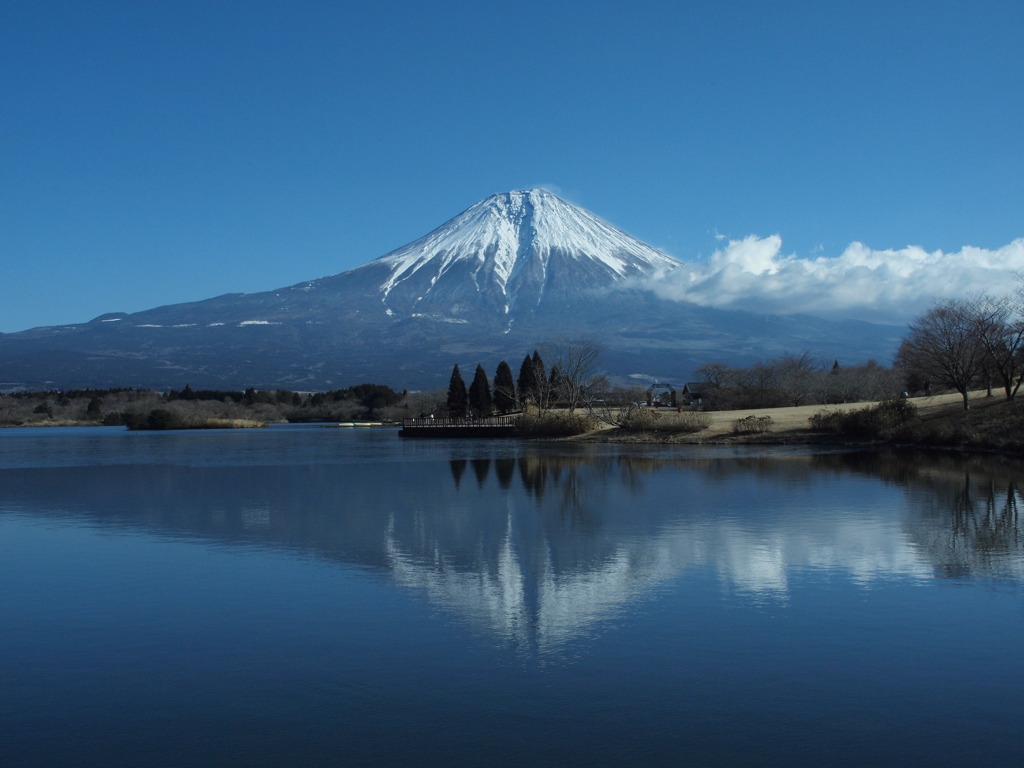 冬の田貫湖