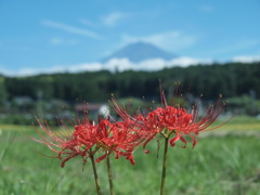 麓にて