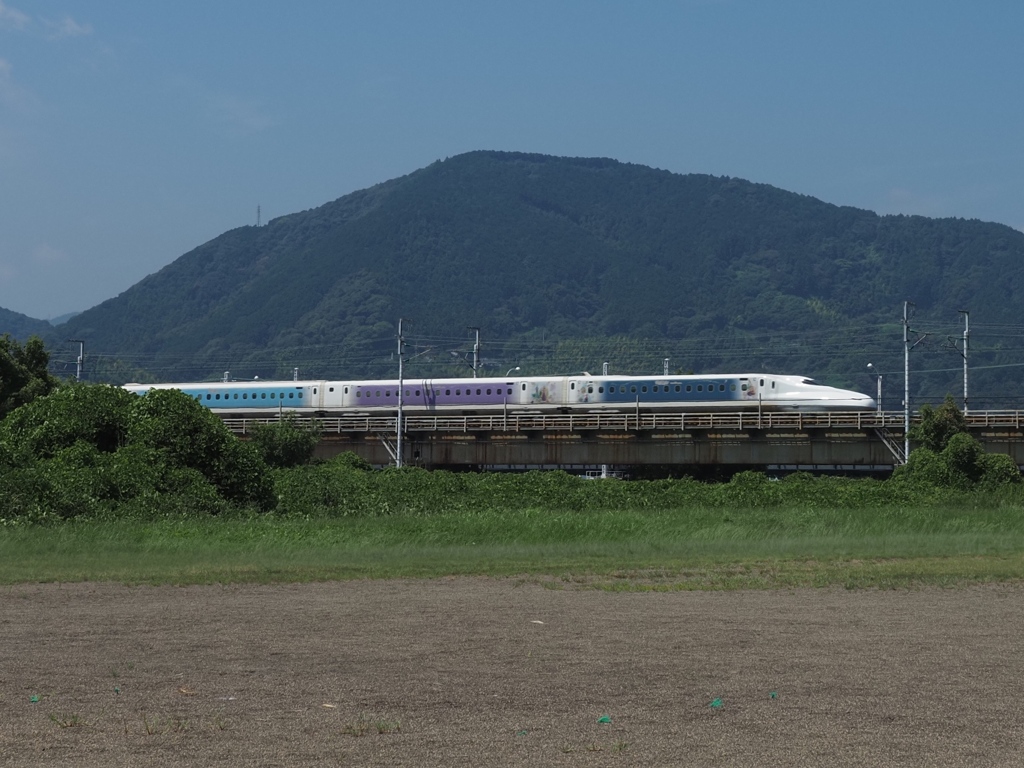 ディズニー仕様