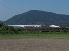 ディズニー仕様
