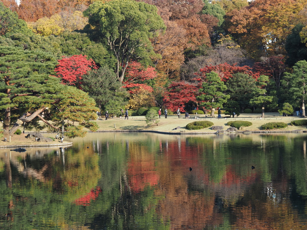 穏やかな秋の日