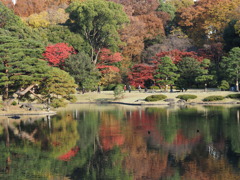 穏やかな秋の日