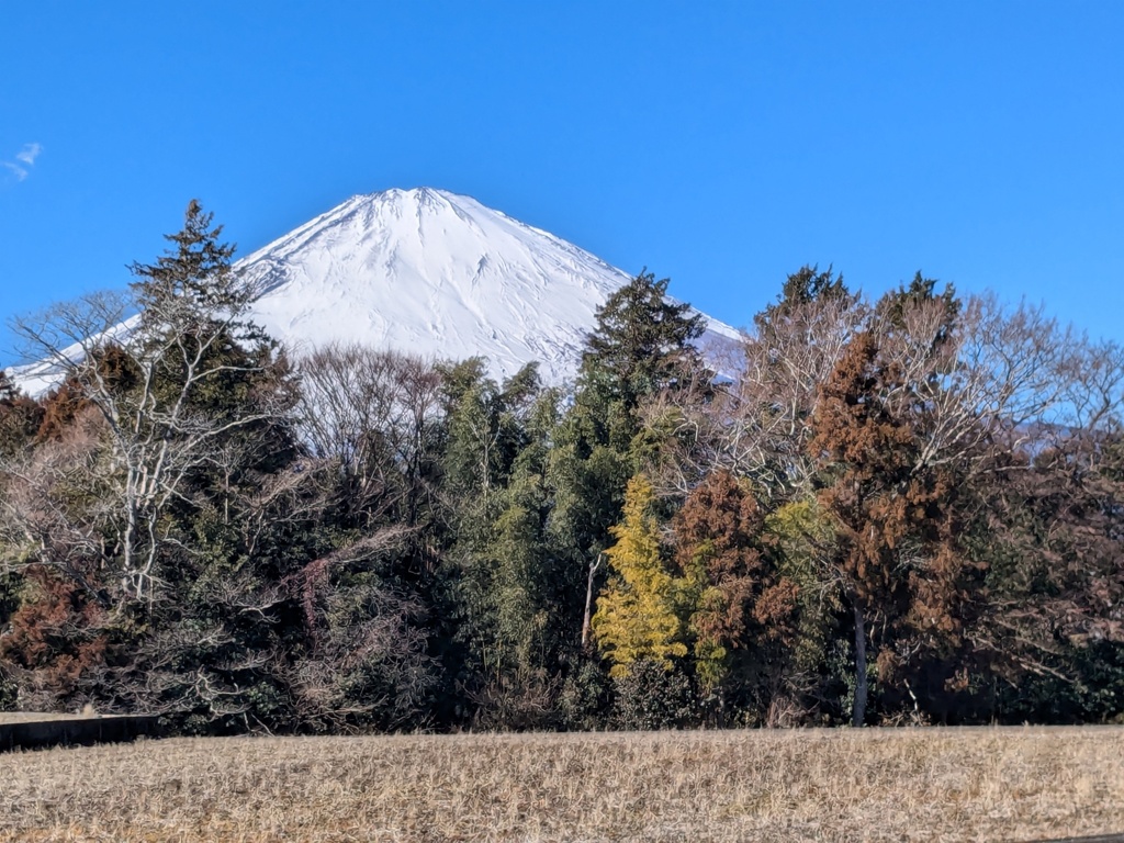 大寒過ぎ快晴