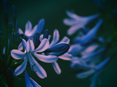 明暗